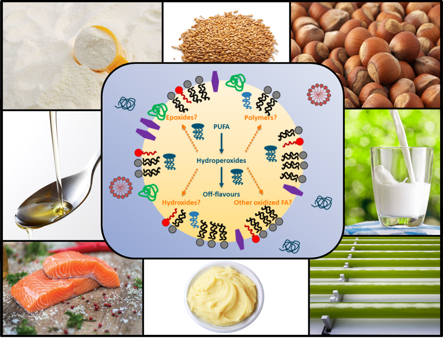 food-lipids-wur